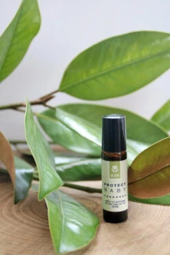 B2B Protect Baby Roller Ball 10ml