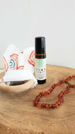 B2B Tiny Teeth Bundle