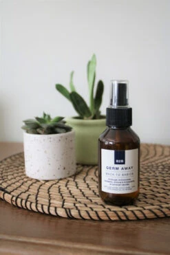 B2B Germ Away/Sanitizer Spray 100ml