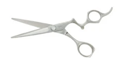 Excellent Edges - Robin Scissor